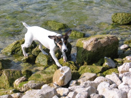 Lago di Garda - Taliansko 2009